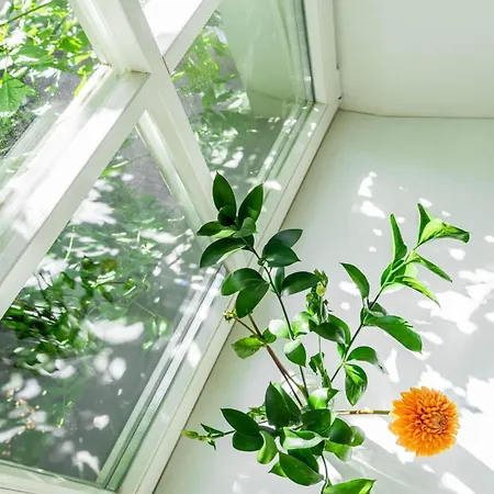 Domillion New Hall Duplex D11c For 12 Ppl