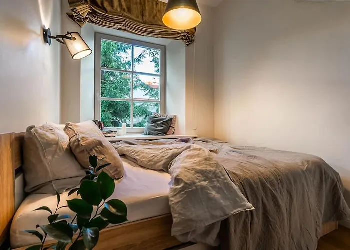 Domillion New Hall Duplex D11c For 12 Ppl Vilnius