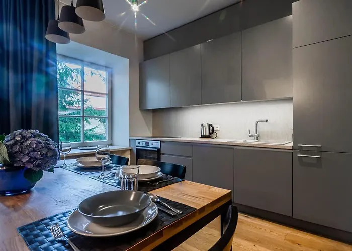 Domillion New Hall Duplex D11c For 12 Ppl Vilnius