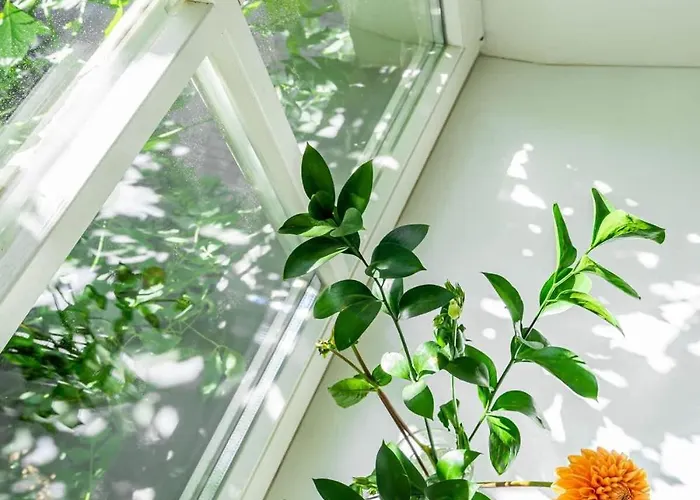 Domillion New Hall Duplex D11c For 12 Ppl