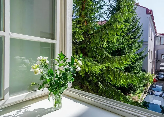 Domillion New Hall Duplex D11c For 12 Ppl * Vilnius