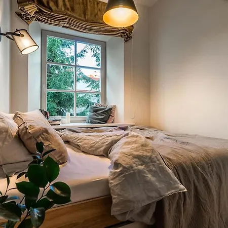 Domillion New Hall Duplex D11c For 12 Ppl 维尔纽斯