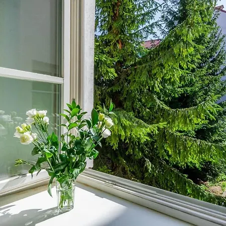 Domillion New Hall Duplex D11c For 12 Ppl * Vilnius