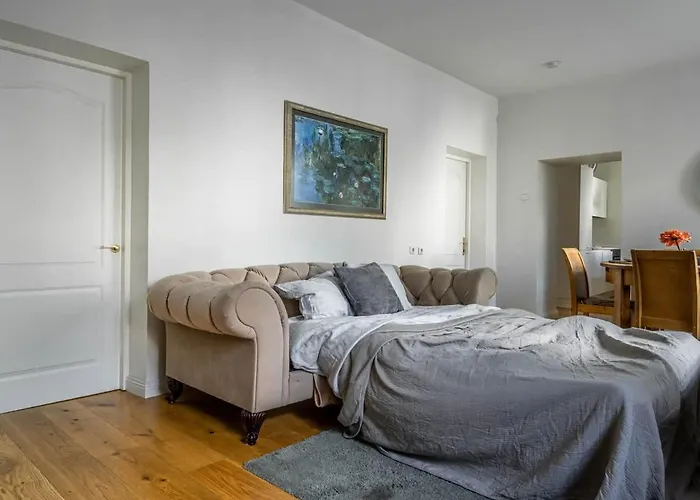 Domillion New Hall Duplex D11c For 12 Ppl 维尔纽斯